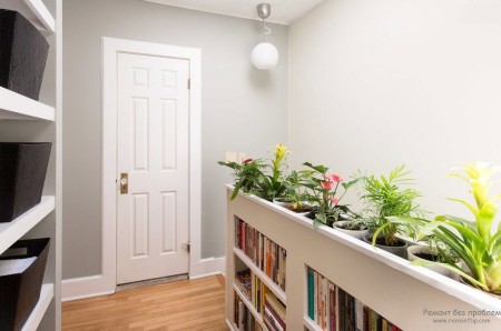 Конспект комнатные растения в интерьере