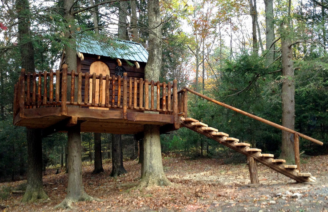 It s tree house. Лестница в домик на дереве. Площадка на дереве. Лестница в детский дом на дереве. Дом на дереве без лестницы.